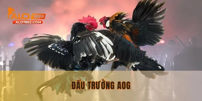 AOG - Sảnh cược kịch tính nhất hiện nay
