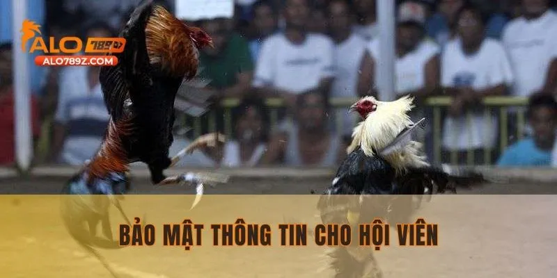 Đá gà ALO789 cam kết bảo mật thông tin 100%