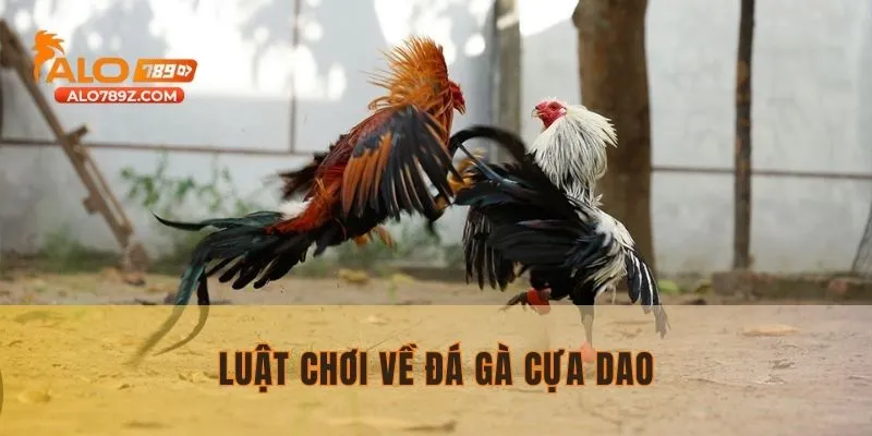 Nắm rõ luật chơi đá gà trực tuyến cựa dao