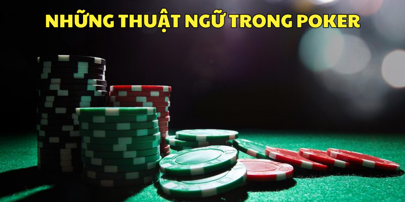 Các thuật ngữ cơ bản bạn cần phải biết